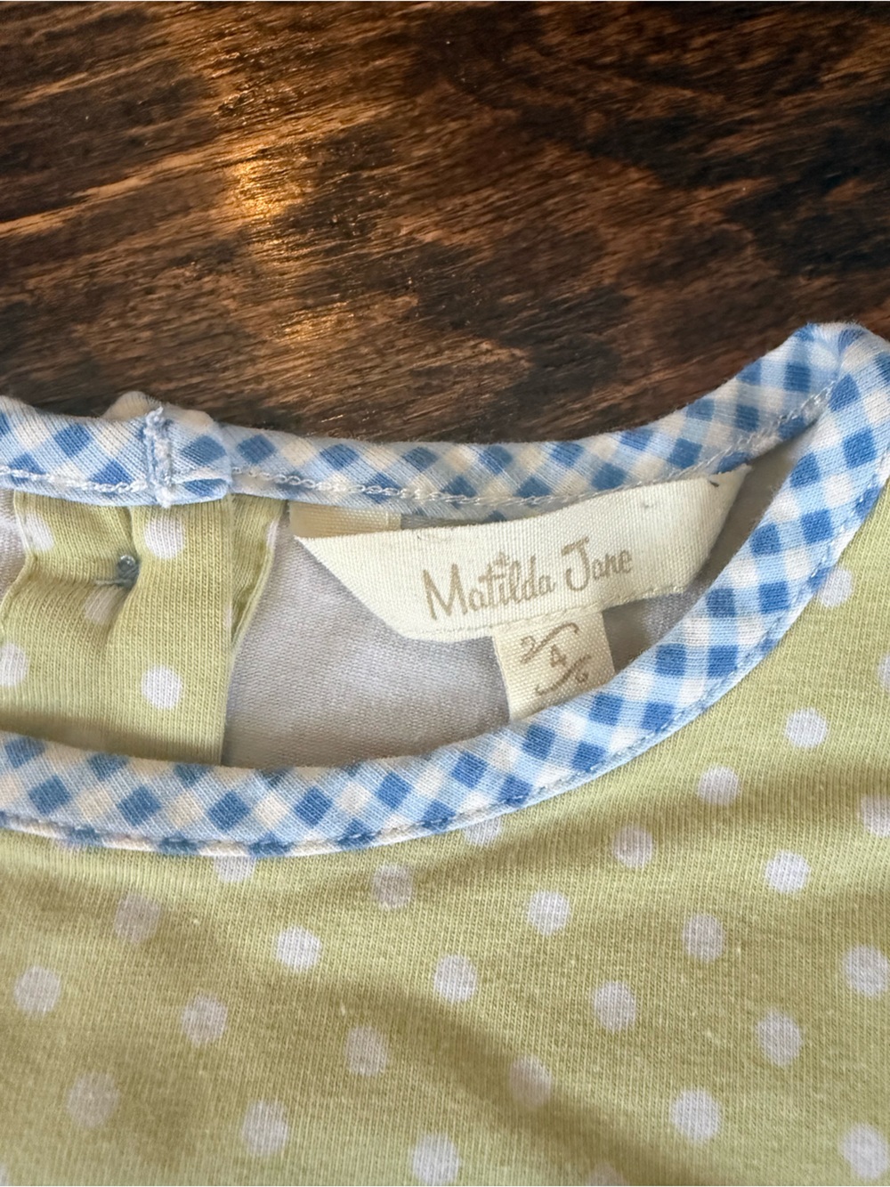Matilda Jane Light Green Polka Dot Top with Blue Gingham Trim